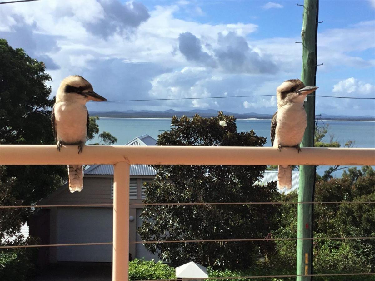 Dutchie'S Sand & Sea Beach House - Easy Walk To The Beach Nelson Bay Exteriér fotografie